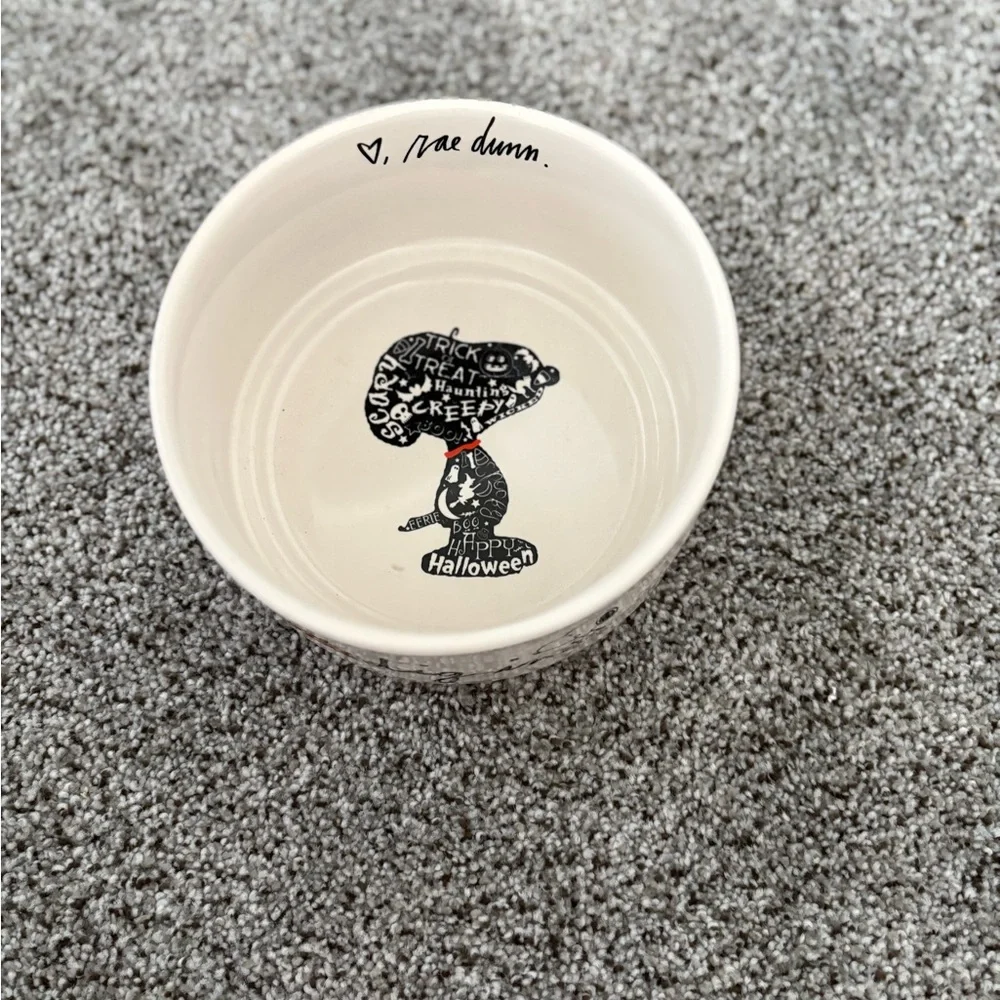 Rae Dunn Peanuts Ceramic Bowl